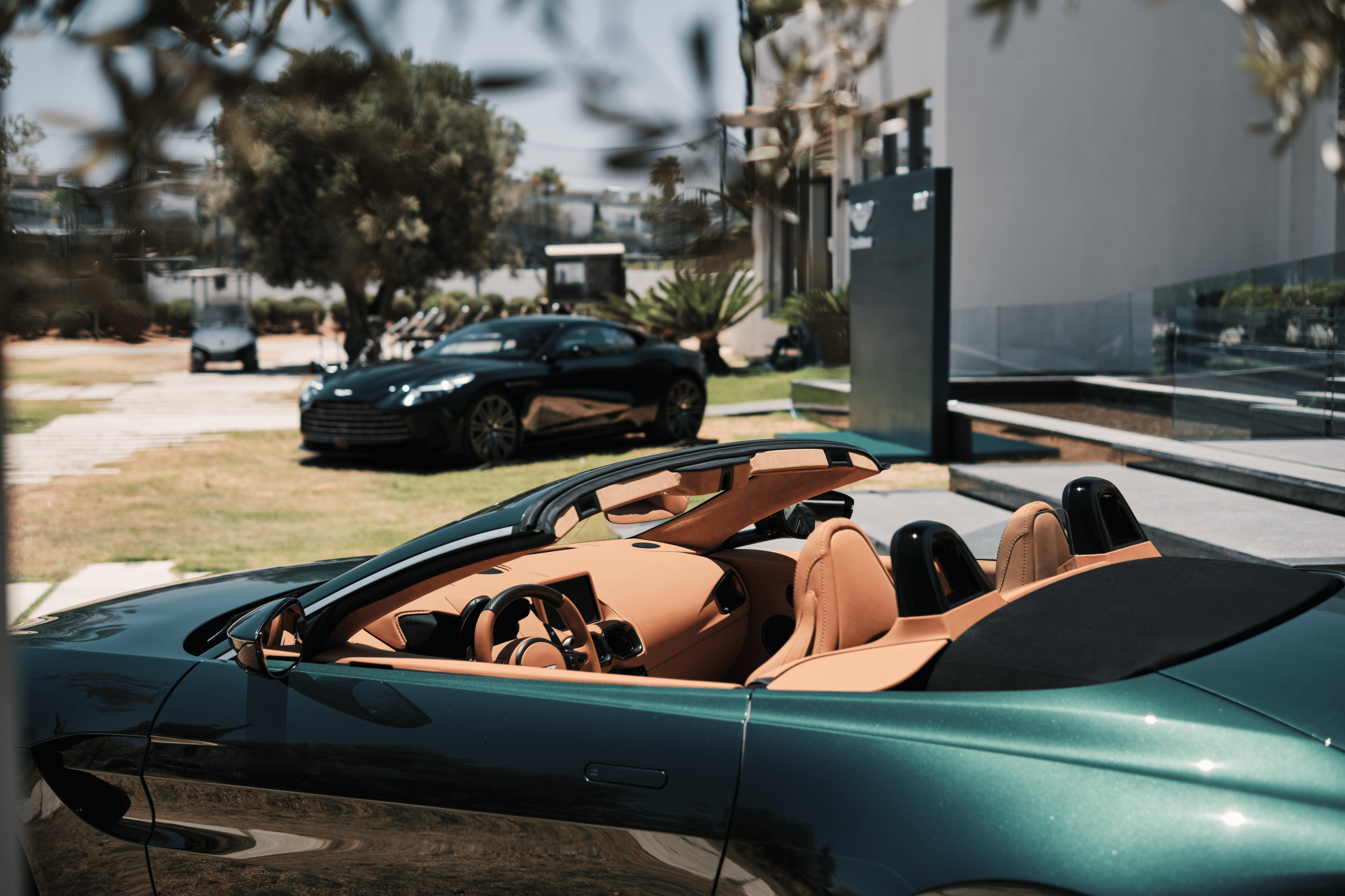 High Roller Remote Control Prostate Massager